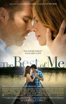 The Best Of Me (2014)