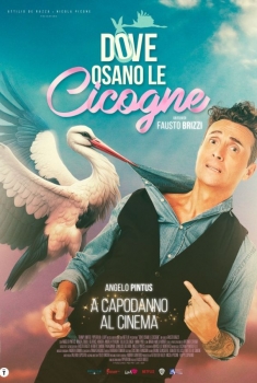 Dove osano le cicogne (2025)